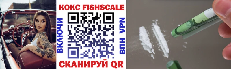 где продают наркотики  Новоржев  КОКАИН Fish Scale 