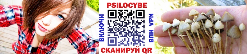 Галлюциногенные грибы мицелий  Новоржев 